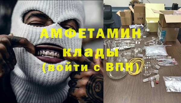 гидра Богородицк