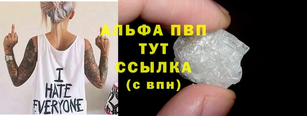 гидра Богородицк
