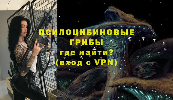 дмт Беломорск